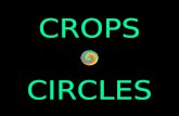 CROPS CIRCLES CROPS CIRCLES (Cercles de culture) : Aussi improbables que fascinants. Canada, Etats-Unis, Hollande, France, Angleterre... Plusieurs pays.
