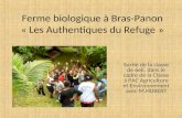 Ferme biologique à Bras-Panon « Les Authentiques du Refuge » Sortie de la classe de 6eE, dans le cadre de la Classe à PAC Agriculture et Environnement.