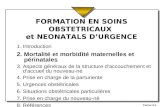 Fsonu 2.1 FORMATION EN SOINS OBSTETRICAUX et NEONATALS DURGENCE 1. Introduction 2. Mortalité et morbidité maternelles et périnatales 3. Aspects généraux.
