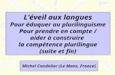 Léveil aux langues Pour éduquer au plurilinguisme Pour prendre en compte / aider à construire la compétence plurilingue (suite et fin) Michel Candelier.
