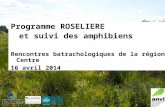 Programme ROSELIERE et suivi des amphibiens Rencontres batrachologiques de la région Centre 16 avril 2014.