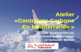CDB Souhaiel DALLEL Directeur Entité Environnement et Carburant Tunisair.