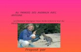AU PARADIS DES ANIMAUX AVEC ANTOINE Le Chanteur Voyageur nous invite à faire le tour du Monde des Animaux en Images. Proposé par Jackdidier.
