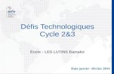 Défis Technologiques Cycle 2&3 École : LES LUTINS Bamako Date janvier –février 2014.