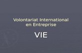 Volontariat International en Entreprise VIE. Sommaire 1. Présentation de la société Bidaux 1. Présentation de la société Bidaux Historique, Produits/Marchés,