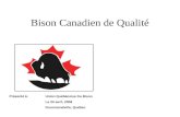 Bison Canadien de Qualité Présenté à:Union Québécoise Du Bison Le 24 avril, 2004 Drummondville, Québec.