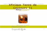 1 2 0 1 2 Lagence Naturimages créateur de lexposition de photographies itinérantes Afrique Terre de Couleurs II Partenaire Exposition Vous propose de devenir.