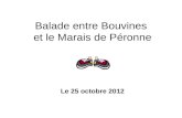 Balade entre Bouvines et le Marais de Péronne Le 25 octobre 2012.