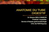 ANATOMIE DU TUBE DIGESTIF Dr Moana GELU-SIMEON Praticien hospitalier Service dhépato-gastroentérologie CHU de PàP/Abymes.