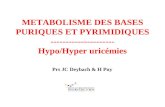 METABOLISME DES BASES PURIQUES ET PYRIMIDIQUES --------------------- Hypo/Hyper uricémies Prs JC Deybach & H Puy.