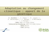 Adaptation au changement climatique : apport de la génétique E. Duchêne 1,2, V. Dumas 1,2, N. Jaegli 1,2, D. Merdinoglu 1,2, C. Monamy 3, D.Moncomble.