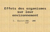 1 Effets des organismes sur leur environnement IRD, UMR 137 S. Barot.