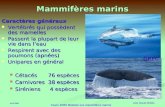 Avril 2006 Cours AFBS Modules Les mammifères marins Mammifères marins Caractères généraux Vertébrés qui possèdent des mamelles Vertébrés qui possèdent.