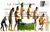 Définition Cas où deux ou plusieurs espèces affectent mutuellement (interactions écologiques) leur évolution respective. Exemple: La coévolution Page 51.