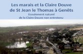Les marais et la Claire Douve de St Jean le Thomas à Genêts Ecoulement naturel de la Claire Douve non entretenu.