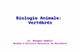 Biologie Animale: Vertébrés Pr. Mohamed GHAMIZI Muséum dHistoire Naturelle de Marrakech.
