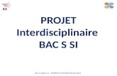 Bac S option SI – EVREUX et FECAMP Février 2014 PROJET Interdisciplinaire BAC S SI.