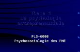 PLS-6008 Psychosociologie des PME. Lhistorique de la recherche en entrepreneuriat (Filion, 1997; Wee et al., 1994; Blawatt, 1995)