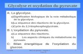 11/10/981Méta. des glucides : Chapitre 5 ; Cours 26 Glycolyse et oxydation du pyruvate A: La glycolyse. a)Signification biologique de la voie métabolique.