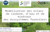 MODF, 6 janvier 2014 Modélisation des bilans de carbone, deau et de minéraux des écosystèmes forestiers Nicolas Delpierre Ecophysiologie végétale, L.E.S.E.
