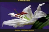 Musique: Nightingale Serenade Un Bouquet damitié.
