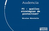 PI : quelles stratégies de protection? Nicolas Minvielle.