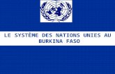 LE SYSTÈME DES NATIONS UNIES AU BURKINA FASO. PLAN 1.Niveau institutionnel 2.Niveau opérationnel 3.Partenariat entre Assemblée Nationale et SNU 4.Perspectives.