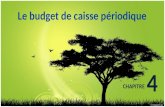 CHAPITRE 4 Le budget de caisse périodique 1. Budget de caisse global : encaissements et décaissements pour 12 mois puis lencaisse au début et à la fin.