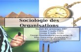 Sociologie des Organisations Module B3, printemps 2007 Groupe 5 (salle E203) Groupe 4 (salle A106) George.Waardenburg@socio.unige.ch.