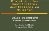 Projet sur les municipalités dévitalisées en Mauricie Volet recherche Rapport préliminaire Par Lucie Veillette Coopérative Niska.