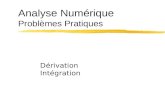Analyse Numérique Problèmes Pratiques Dérivation Intégration