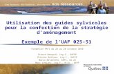 Utilisation des guides sylvicoles pour la confection de la stratégie daménagement Exemple de lUAF 025-51 Formation PAFI du 26 au 28 octobre 2010 Pierre.