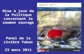 Mise à jour de la Politique concernant le saumon sauvage Panel de la rivière Yukon 23 mars 2011.