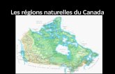 Les régions naturelles du Canada 1.004. La Région de la Cordillère.