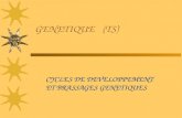 GENETIQUE (TS) CYCLES DE DEVELOPPEMENT ET BRASSAGES GENETIQUES