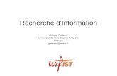 Recherche d'Information Gabriel Gallezot Université de Nice Sophia Antipolis URFIST gallezot@unice.fr.