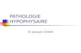 PATHOLOGIE HYPOPHYSAIRE Dr Jacques COHEN. HYPOPHYSE TIGE PITUITAIRE.