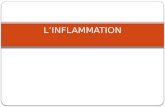 LINFLAMMATION. Linflammation est un mécanisme de réponse à une lésion tissulaire visant à la circonscrire et à la réparer. Cette lésion peut être: - exogène.