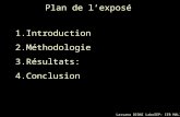 Lassana DIONI LaboSEP- IER MALI Plan de lexposé 1.Introduction 2.Méthodologie 3.Résultats: 4.Conclusion.
