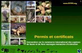 1 Permis et certificats  © Copyright Secrétariat CITES 2005 Convention sur le commerce international des espèces de faune et de flore sauvages.