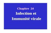 Chapitre 24 Infection et Immunité virale. Les modes et les voies de transmission Transmission horizontale dun individu à un autre Les voies muqueuses.