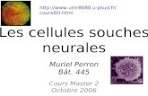 Muriel Perron Bât. 445 Cours Master 2 Octobre 2006 Les cellules souches neurales .