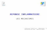 REPONSE INFLAMMATOIRE LES MECANISMES Professeur Lionel Prin – Immunologie – Lille 2 Université de Lille – Nord de France.