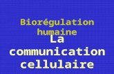 Biorégulation humaine La communication cellulaire.