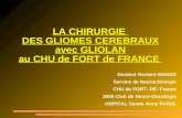 LA CHIRURGIE DES GLIOMES CEREBRAUX avec GLIOLAN au CHU de FORT de FRANCE Docteur Norbert MANZO Service de Neurochirurgie CHU de FORT- DE- France 2009 Club.