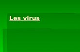 Les virus. Virus dinfluenza Virus de la rhume Virus de Polio.