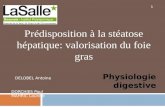 Prédisposition à la stéatose hépatique: valorisation du foie gras DELOBEL Antoine Physiologie digestive DORCHIES Paul MAHRIC Laurent 1.