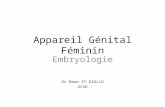 Appareil Génital Féminin Embryologie Dr Mama SY DIALLO UCAD.