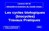 Licence UE 10 Diversité et évolution du monde vivant Les cycles biologiques (biocycles) Travaux Pratiques Charles F. Boudouresque et Emmanuelle Deniel.