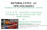 NATURALISTES et SPELEOLOGUES Exemple dun partenariat entre : S.F.E.P.M. (Société Française dEtude et de Protection des Mammifères) et F.F.S. (Fédération.